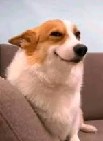 naughtydog.jpg naughtydog.jpg