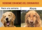 3F5F4345-8983-44E1-B670-ECDCE89FB380.jpeg