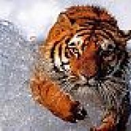 MrLeo
