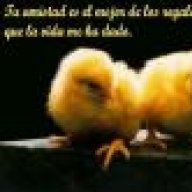 damaso